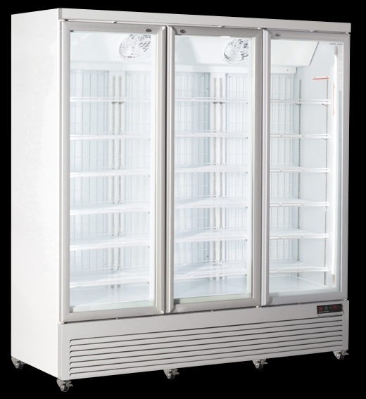 Armadio congelatore 1200 Lt. (PORTAVETRO) RFG 1900